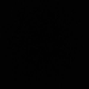 Meet your Posher, Preston